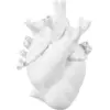 Image de Vase en porcelaine blanc Love in Bloom - Seletti