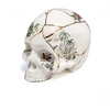 Image de Seletti Objet de décoration Crâne Kintsugi - 09943