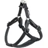 Image de Ferplast Daytona Harnais - L