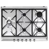 Image de Smeg SRV575GH5 - Inox