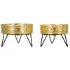 Image de Mauro-ferretti Zanny - Multicolore