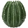 Image de Vase Déco en Céramique Cactus 24cm Vert