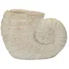 Image de Paris prix Vase design Shell - Beige