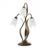 Image de Lumiere SONIA