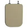 Image de Kiamami Valentina SEAT WC Conca - Champagne