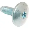 Image de Indesit vis Torx pour lave-linge