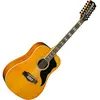 Image de Eko Guitare folk électro-acoustique Ranger VR XII
