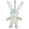 Image de Chicco doudou peluche lumineux