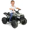 Image de Feber Quad Boxer 6V