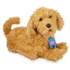Image de Famosa peluche interactive Moji Dog