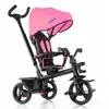 Image de Tricycle Moltó