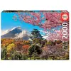 Image de Educa Puzzle adulte Château d'Osaka - 2000 pièces