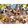 Image de Educa puzzle adulte Doggy Selfie 1000 pièces