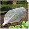 Image de FILM BIOCONTROL DE FORCAGE ANTI INSECT NORTENE - 2014528