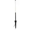 Image de FARO Bambou