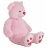 Image de Ours Rose