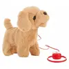 Image de Peluche qui bouge Chien avec son