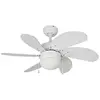 Image de EDM Ventilateur de Plafond