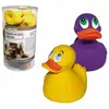 Image de Jouet canard en latex