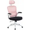 Image de Woxter Ergo - Rose