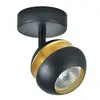 Image de Spot FABRILAMP BEETHOVEN 1 GU10 noir et or