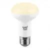 Image de Ampoule led réflecteur FABRILAMP E27 12 W 3000 K blanc chaud