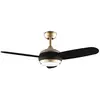 Image de cecotec Aero 4265 GoldBlack