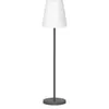 Image de Ledkia Lampadaire LED Lola Slim 120 - Anthracite