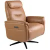 Image de Fauteuil pivotant en cuir marron
