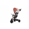 Image de Tricycle Ociotrends Elite Platinum