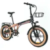 Image de Vélo Électrique Youin BK1650 DALLAS Noir Café 250 W 20"