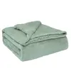 Image de Sherpa Canape Couverture Polaire 130x160cm, Épaisse Warm Plaid Blanket - Briebe