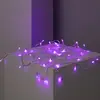 Image de Ledkia Guirlande LED Extérieure à Piles 5m Bleu
