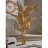 Image de Kentia Gold, plante de 160 cm (125 x 160 cm).