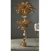 Image de Ficus Benjamin Gold, plante de 154 cm (78 x 154 cm)