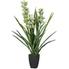 Image de Plante d'orchidée Cymbidium 70 x 70 x 110 cm