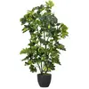 Image de Plante Schefflera Arboricola 50X50X95 Cm
