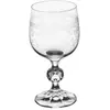 Image de Verre à eau Claudia Panto 19 cl (lot de 6)