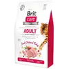 Image de BRIT CARE-Brit Care Croquettes Chat Adulte Actif Poulet & Dinde - 2 kg