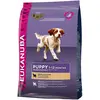 Image de Eukanuba Croquettes à l'agneau et riz - Toutes races - 12kg