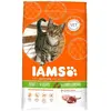 Image de Iams Chat Adulte Agneau - 10 kg