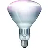 Image de Lampe infrarouge Kerbl Philips Blanc 150 W 22315