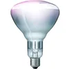 Image de Lampe infrarouge Kerbl Philips Blanc 250 W 22316