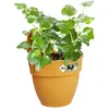 Image de Elho Balconnière - Jaune Miel Ø24 cm