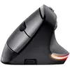 Image de Trust Souris Ergonomique Sans Fil Bayo II Rechargeable Noir
