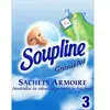 Image de Sachets Armoire Parfum Grand Air - SOUPLINE