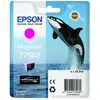 Image de Epson - T7603