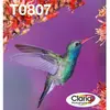 Image de Epson EasyMail Multipack Colibri T0807