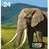 Image de Epson EasyMail Multipack Eléphant-Claria Photo HD n°24 N,C,M,J,Cc,Mc