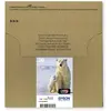 Image de Epson Polar bear Multipack 26